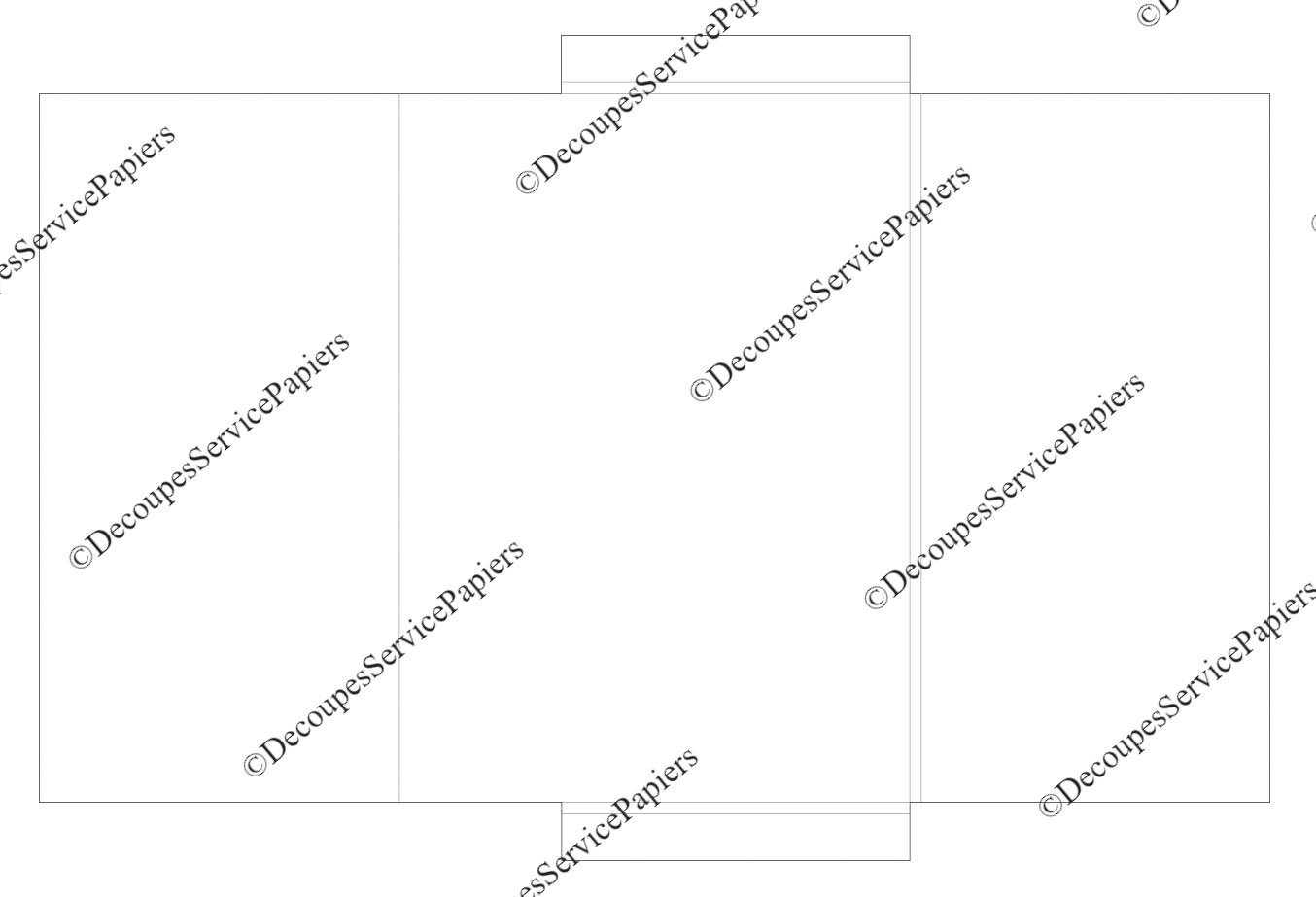 CHEMISE F 220 X 305 R5 O 530 X 356.jpeg